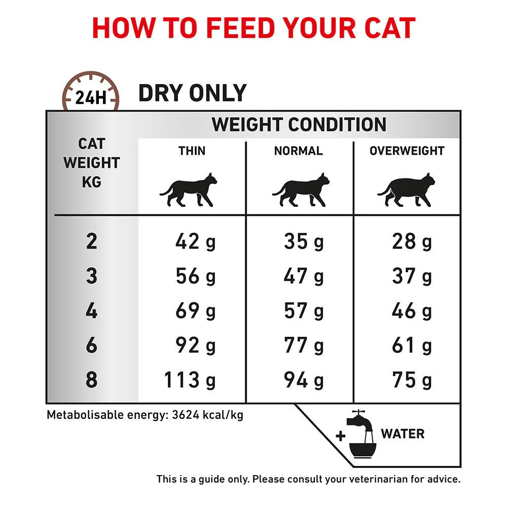 Royal Canin Veterinary Gastrointestinal Care & Hairball Control Dry Cat Food - Image 21