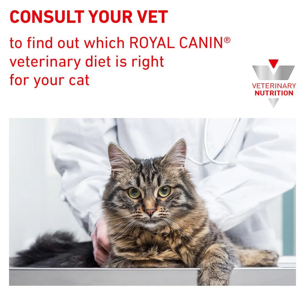 Royal Canin Veterinary Gastrointestinal Care & Hairball Control Dry Cat Food - Image 25