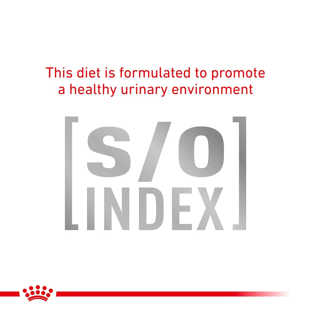 Royal Canin Veterinary Gastrointestinal Care & Hairball Control Dry Cat Food - Image 5