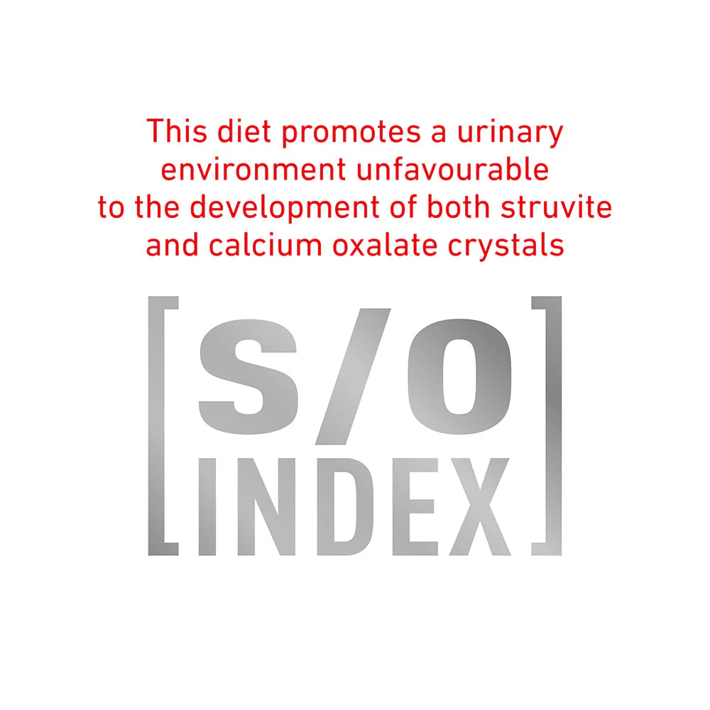 Royal Canin Veterinary Diet Gastrointestinal Care Wet Cat Food - Image 14