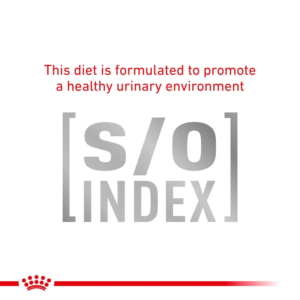 Royal Canin Veterinary Diet Gastrointestinal Care Wet Cat Food - Image 4