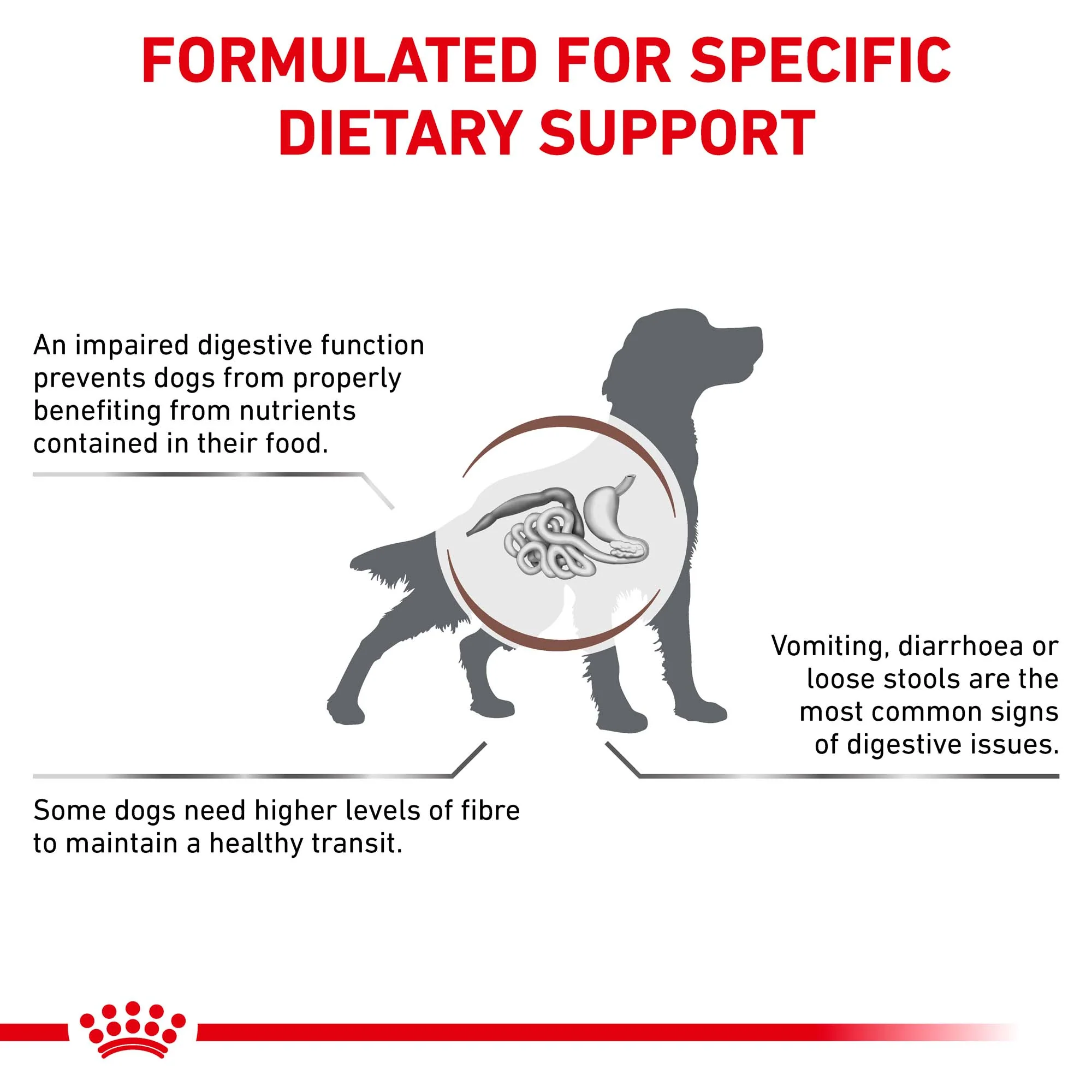 Royal Canin Veterinary Gastrointestinal Care High Fibre Dry Dog Food - Image 3