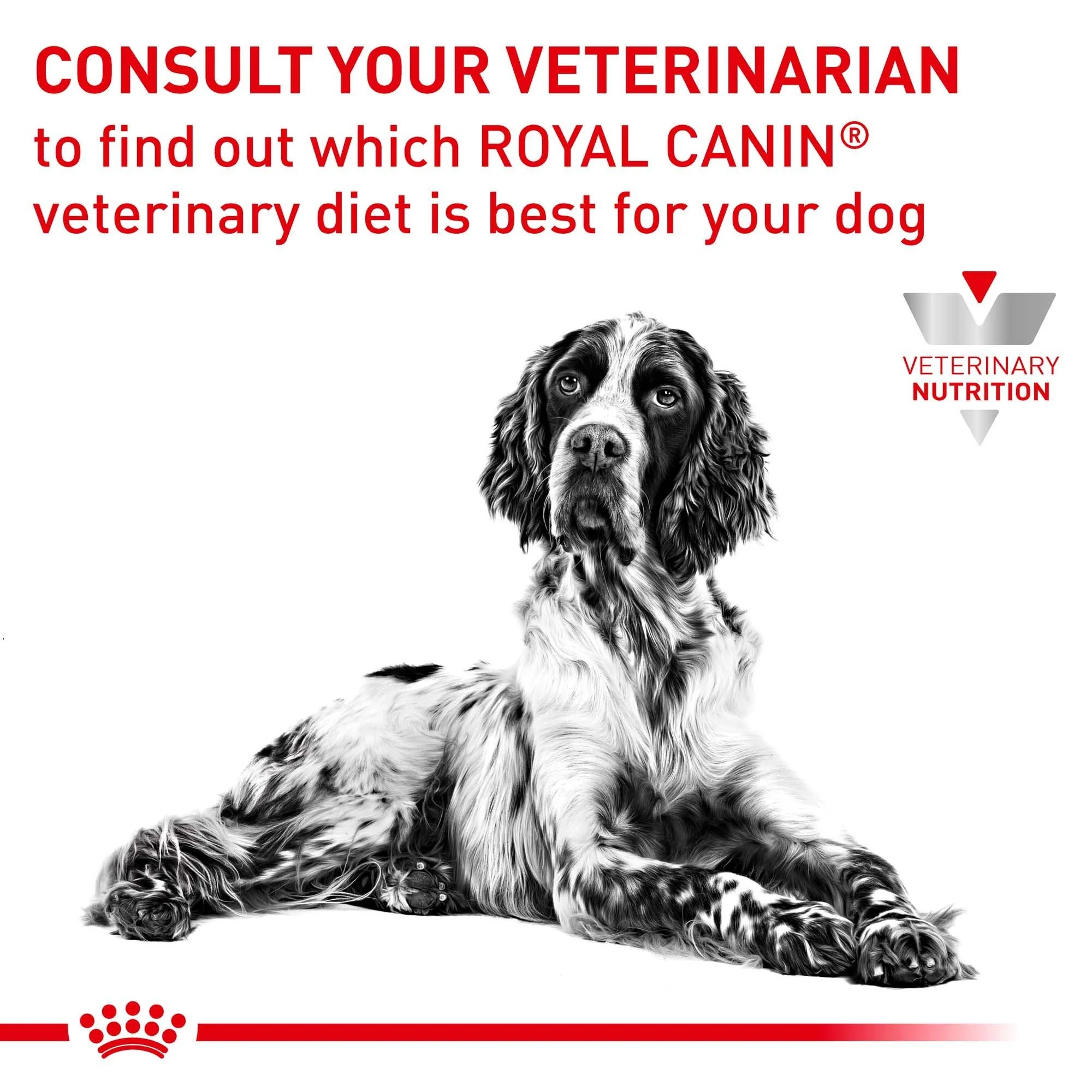 Royal Canin Veterinary Gastrointestinal Care High Fibre Dry Dog Food - Image 30