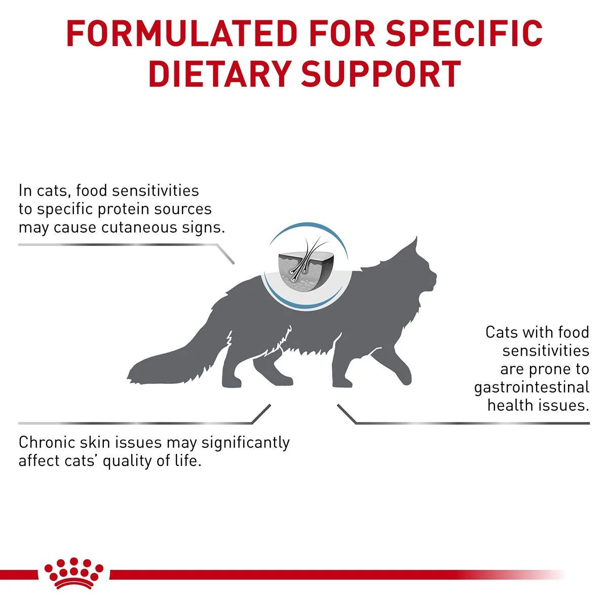 Royal Canin Veterinary Hypoallergenic Dry Cat Food - Image 14