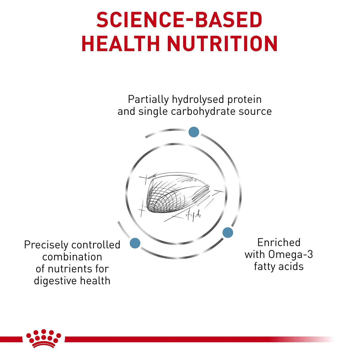Royal Canin Veterinary Hypoallergenic Dry Cat Food - Image 2