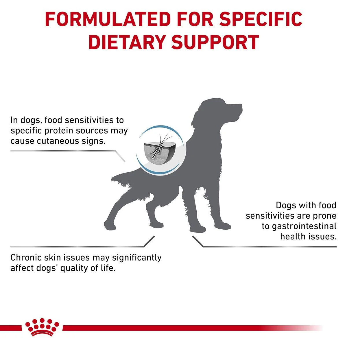 Royal Canin Veterinary Hypoallergenic Dry Dog Food - Image 15