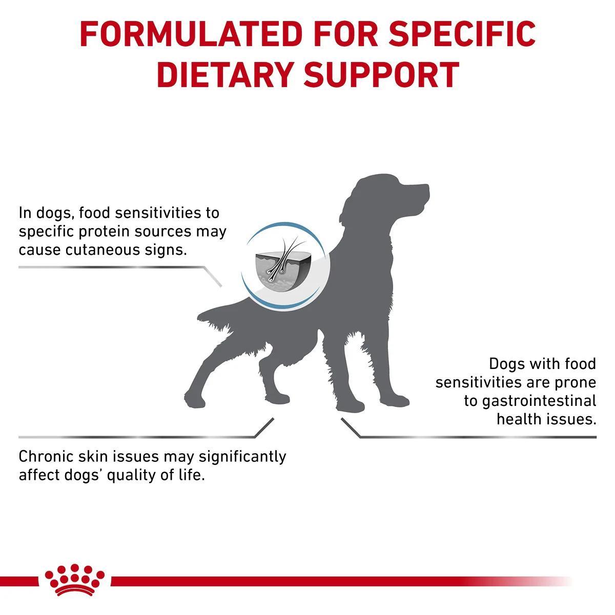 Royal Canin Veterinary Hypoallergenic Dry Dog Food - Image 3
