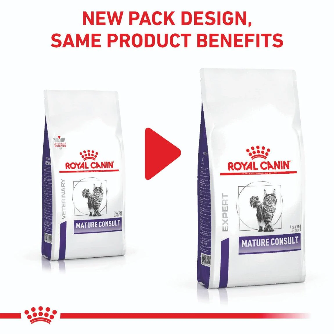 Royal Canin Expert Mature Consult Dry Cat Food - Image 13