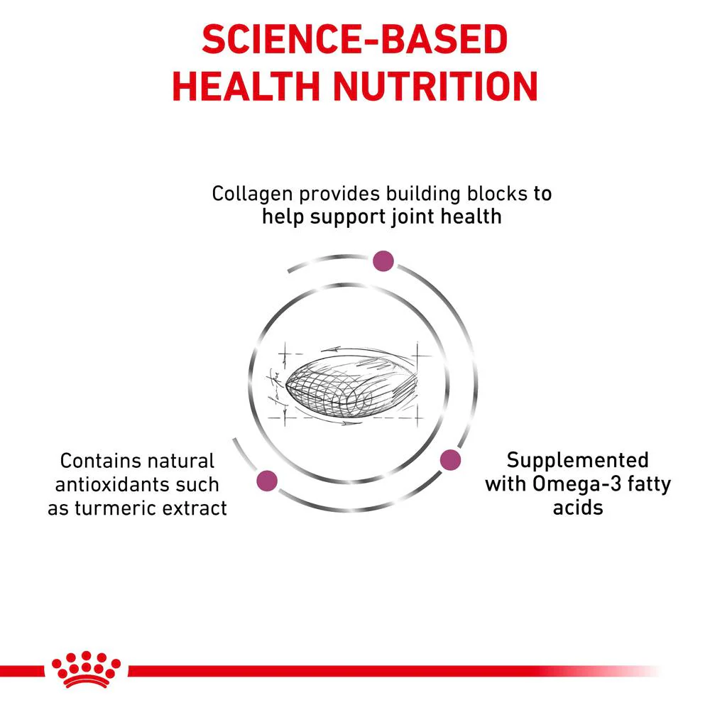 Royal Canin Veterinary Mobility C2P+ Dry Dog Food - Image 3