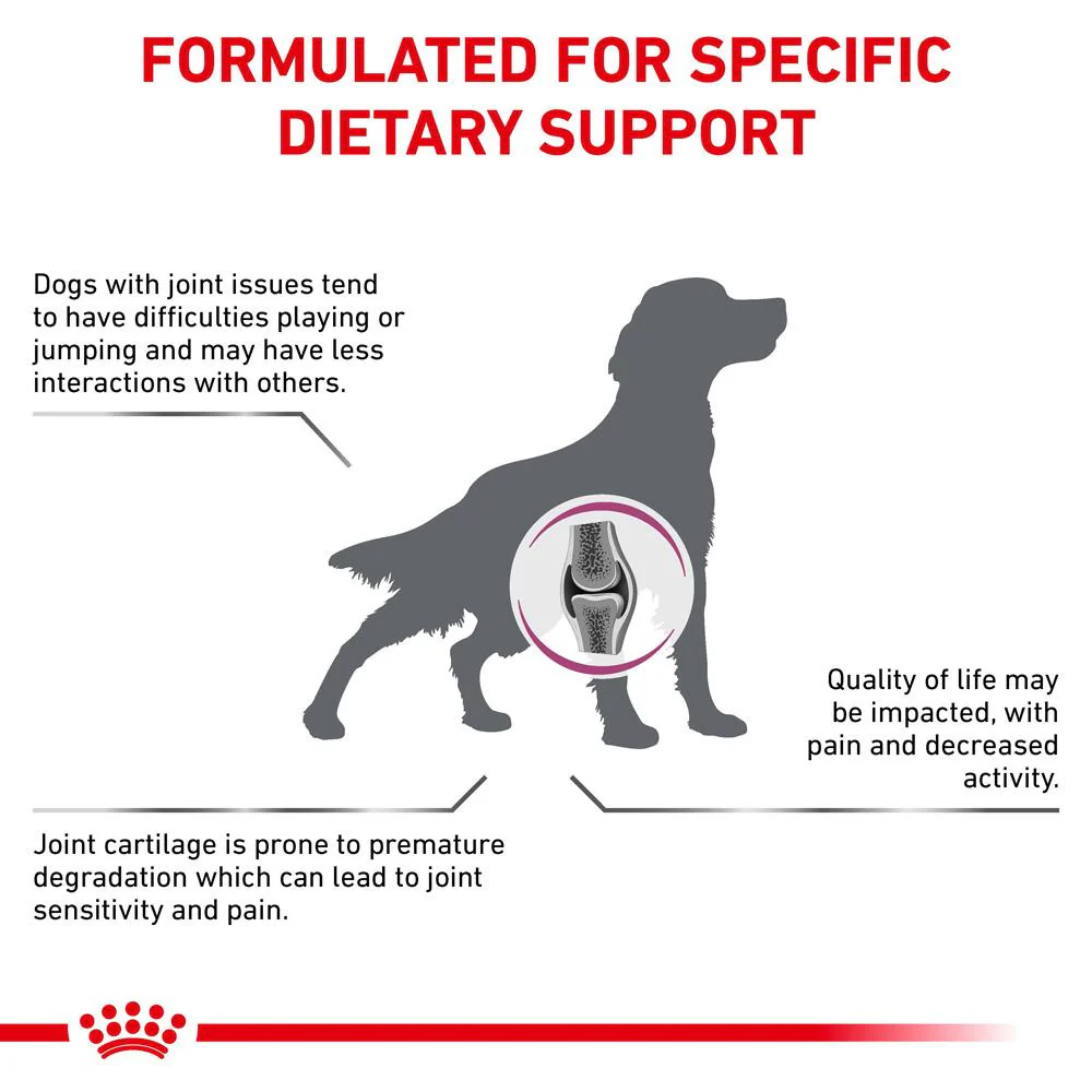 Royal Canin Veterinary Mobility C2P+ Dry Dog Food - Image 6