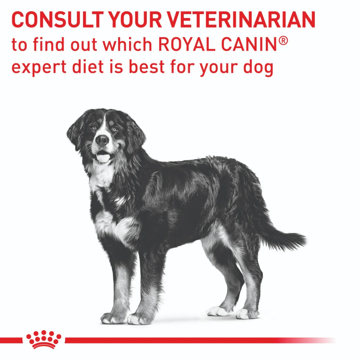 Royal Canin Veterinary Adult Large Breed Neutered Dry Dog Food - Image 9