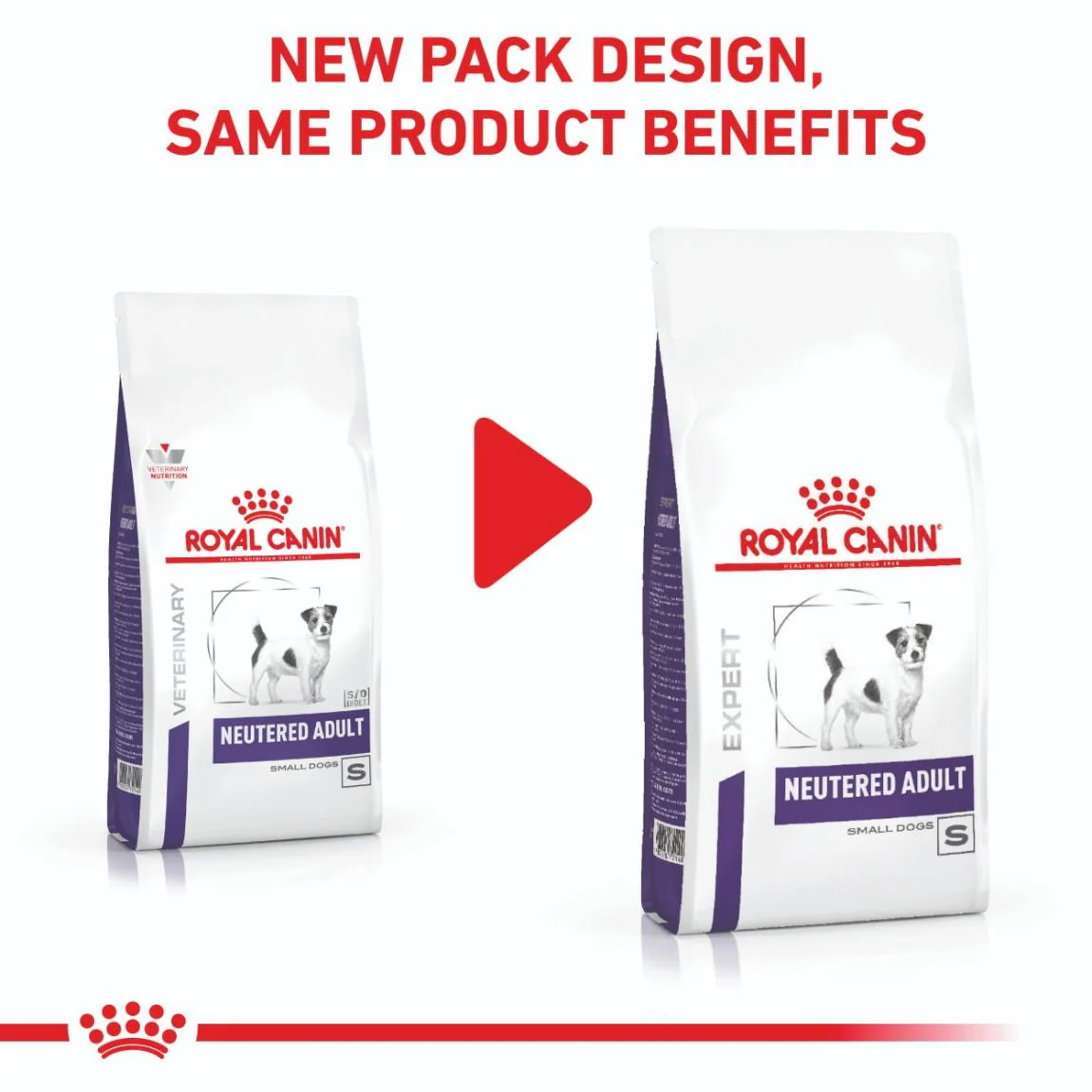 Royal Canin Expert Adult Small Breed Neutered Dry Dog Food - Image 3