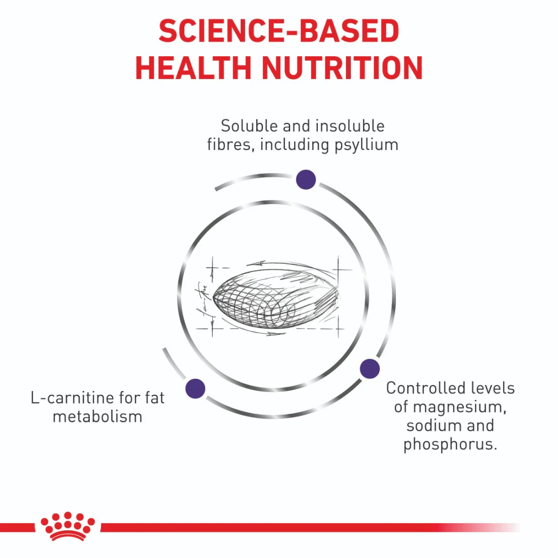 Royal Canin Expert Neutered Satiety Balance Dry Cat Food - Image 3