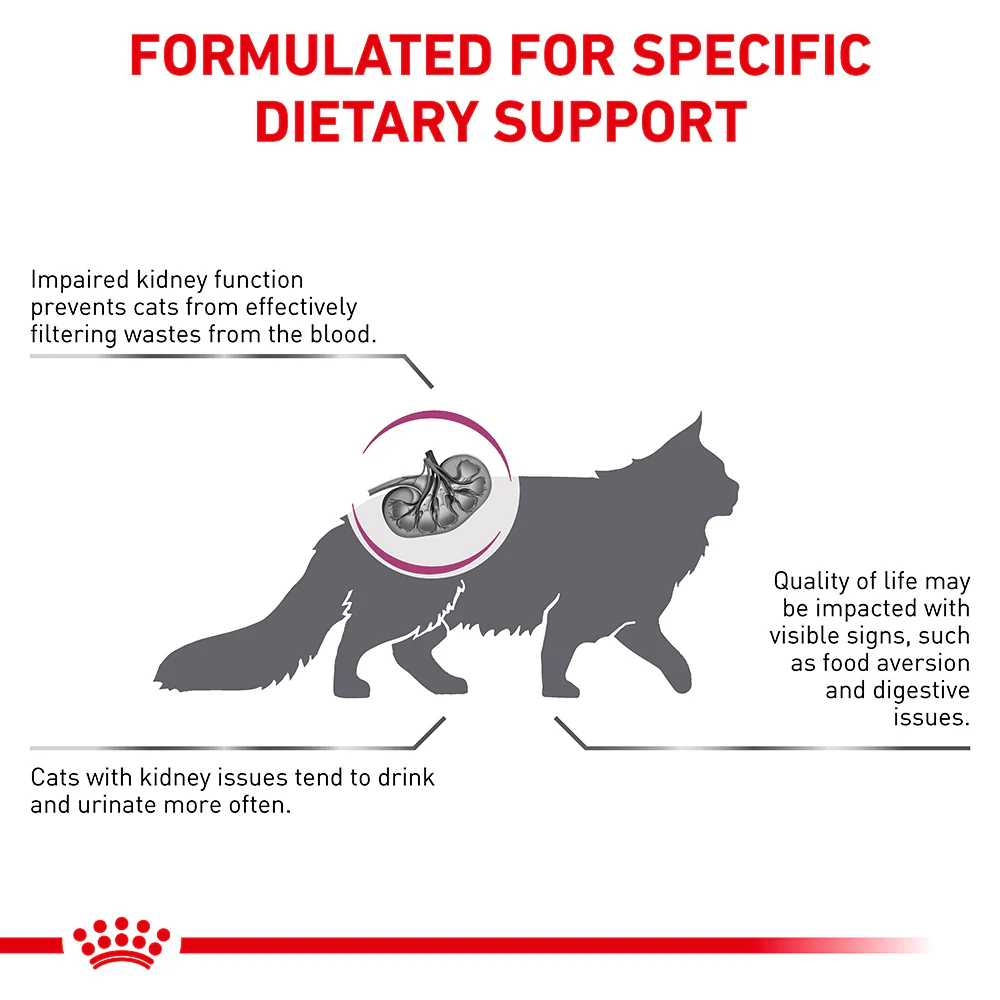 Royal Canin Veterinary Renal Dry Cat Food - Image 3