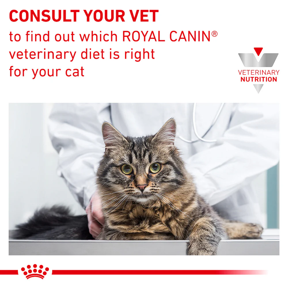 Royal Canin Veterinary Renal Chicken Wet Cat Food - Image 9
