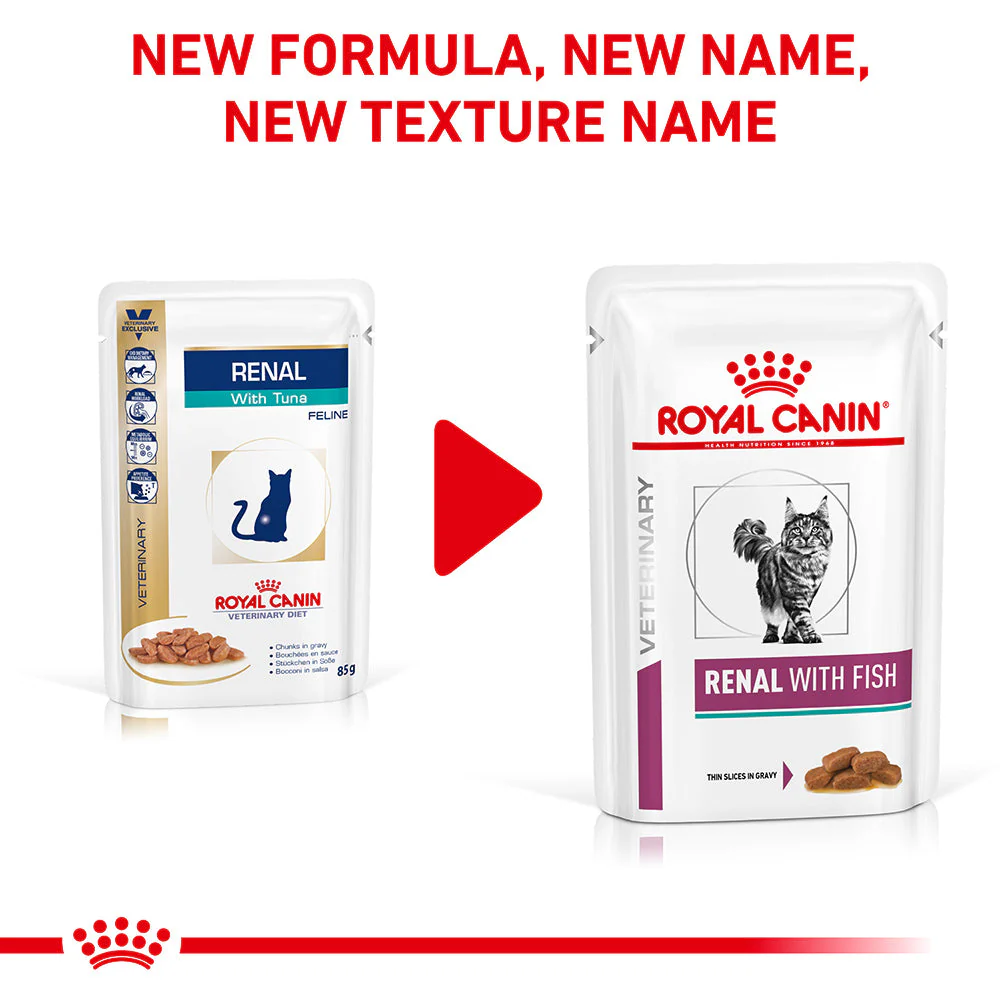 Royal Canin Veterinary Renal Fish Wet Cat Food - Image 7