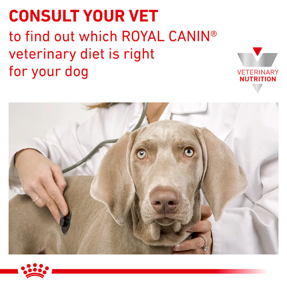 ROYAL CANIN VETERINARY DIET Renal Select Adult Dry Dog Food 2kg - Image 20