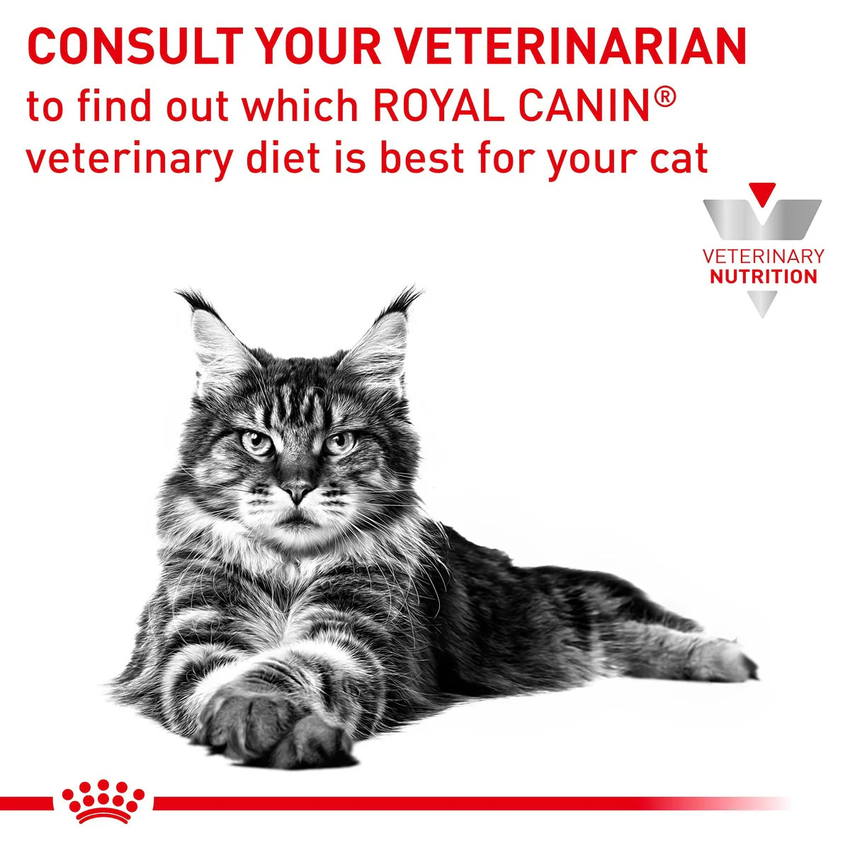 Royal Canin Veterinary Sensitivity Control Chicken & Rice Wet Cat Food - Image 14