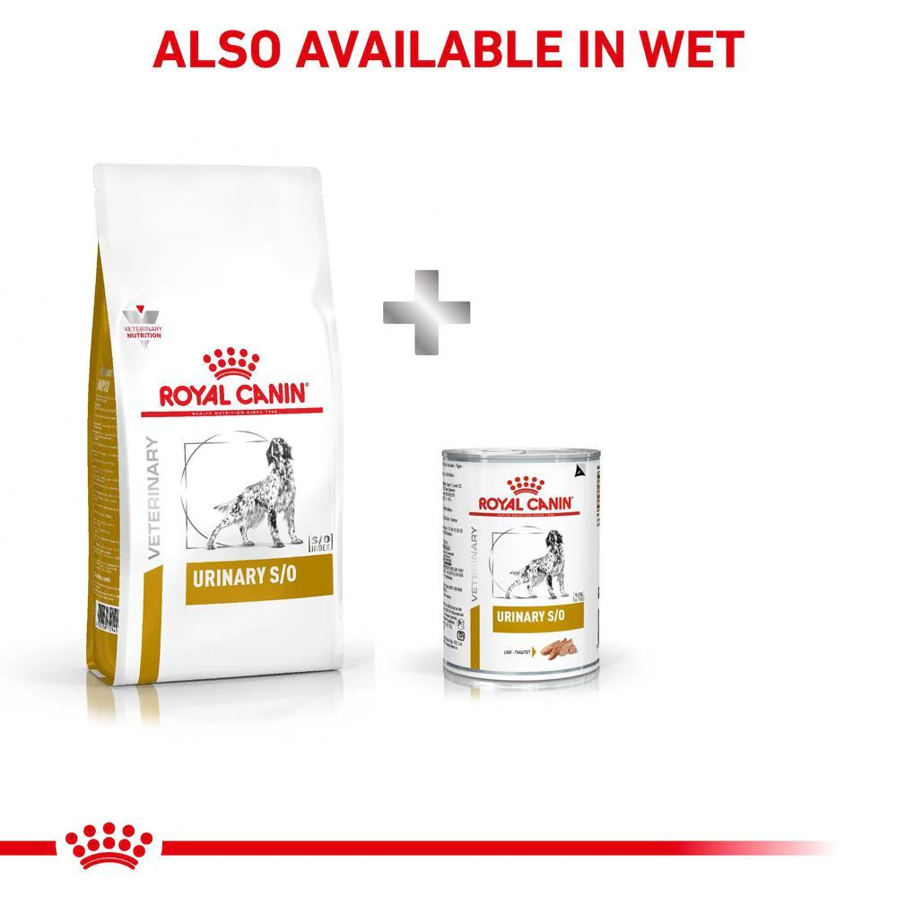 Royal Canin Veterinary Urinary S/O Dry Dog Food - Image 20