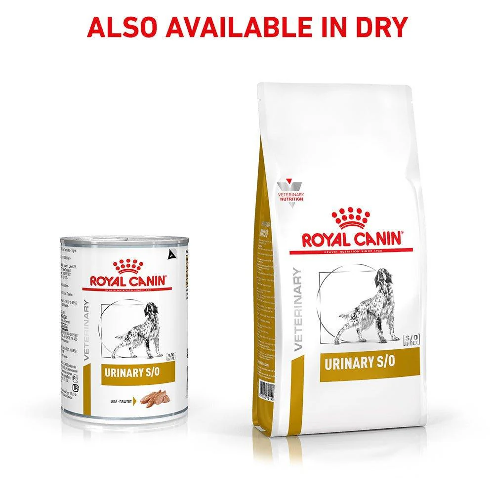 Royal Canin Veterinary Urinary S/O Wet Dog Food - Image 5