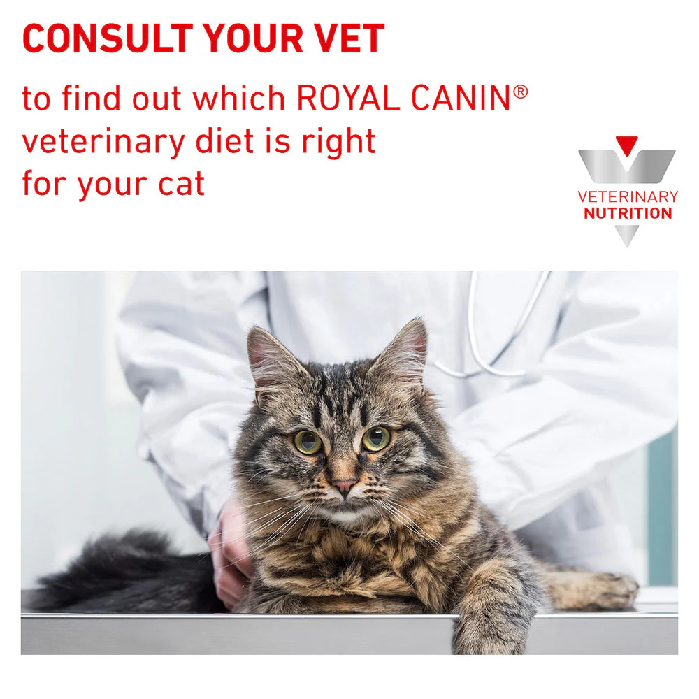 Royal Canin Veterinary Urinary S/O Wet Cat Food - Image 9