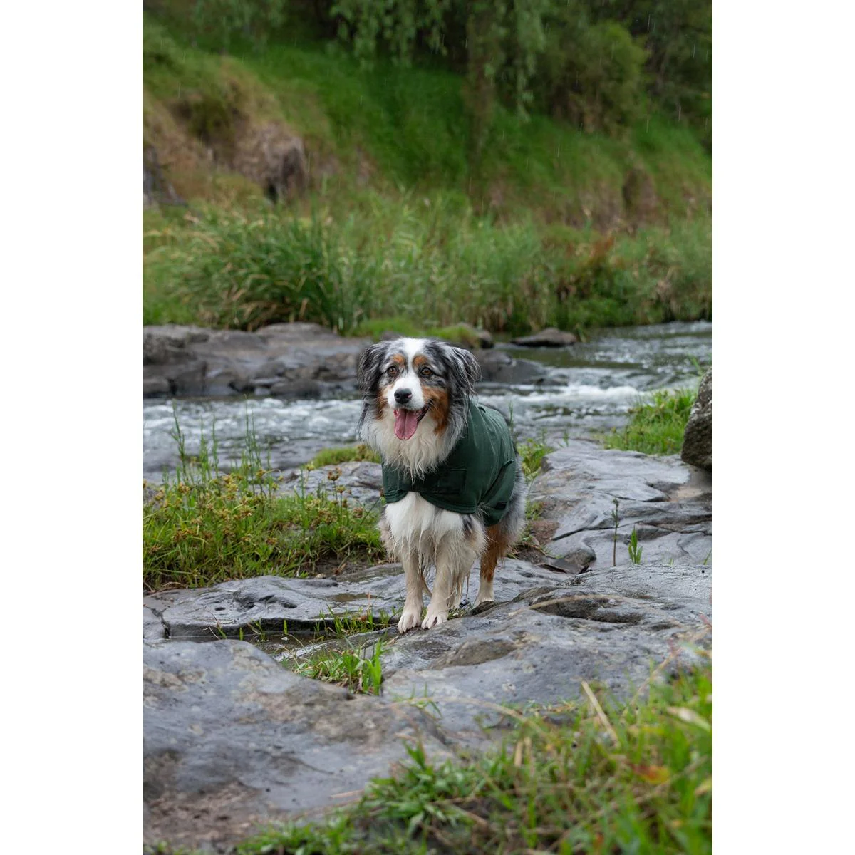 Ruff n Rugged Canvas Dog Coat Forest Green - Image 11