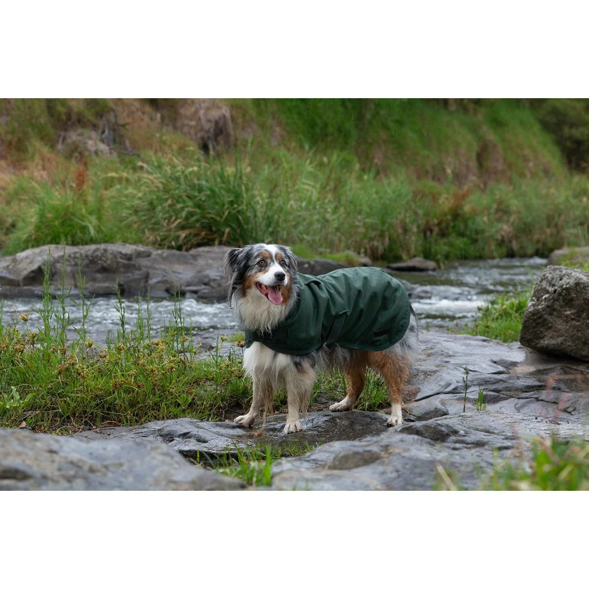 Ruff n Rugged Canvas Dog Coat Forest Green - Image 19