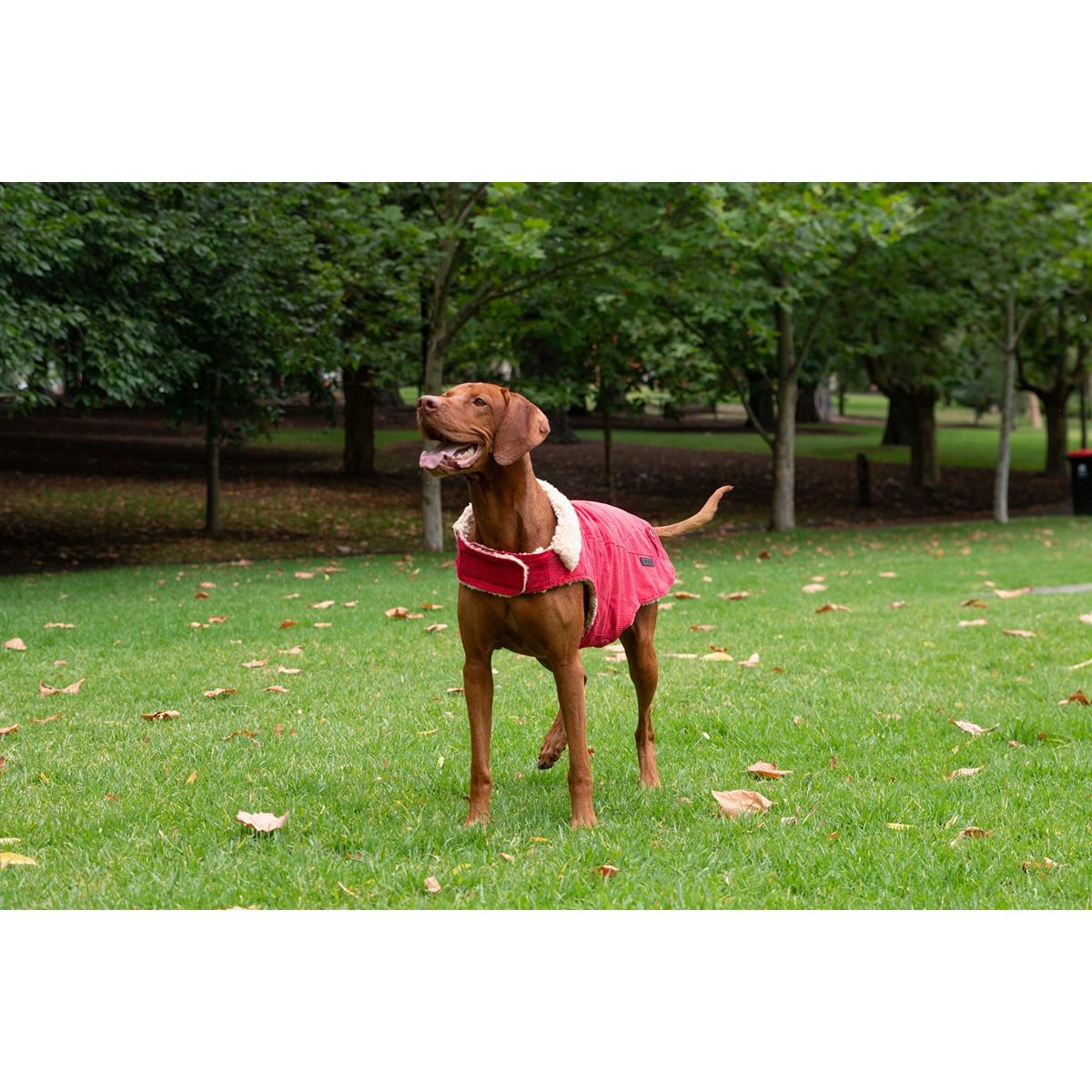 Ruff n Rugged Corduroy Dog Jacket Barn Red - Image 12