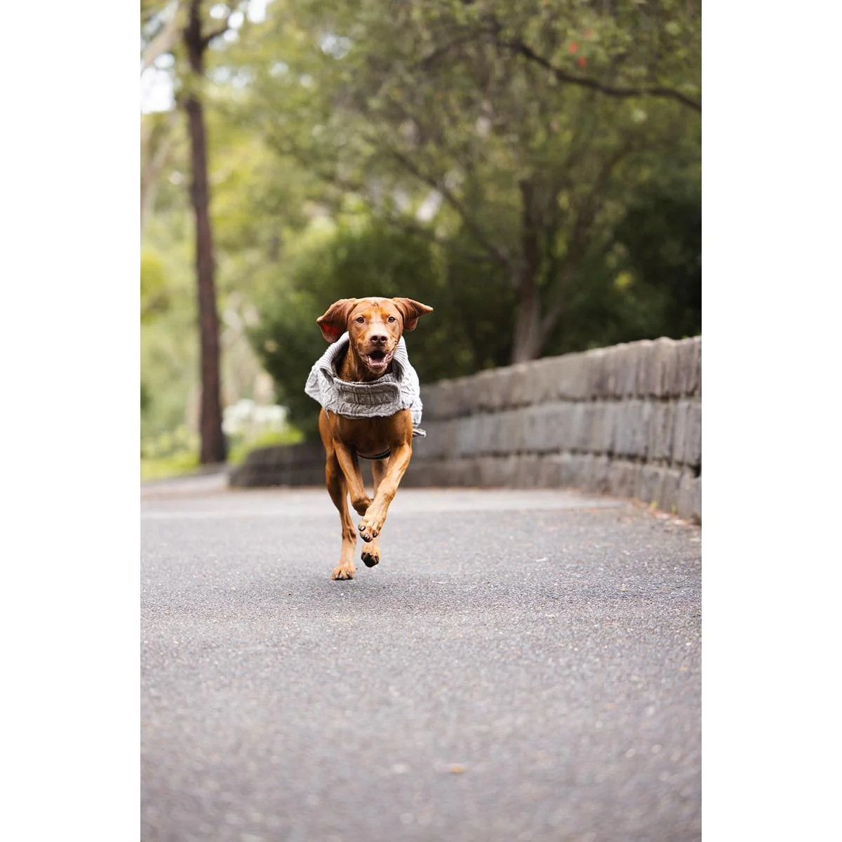 Ruff n Rugged The Woolly Dog Jumper Birch Marle - Image 16