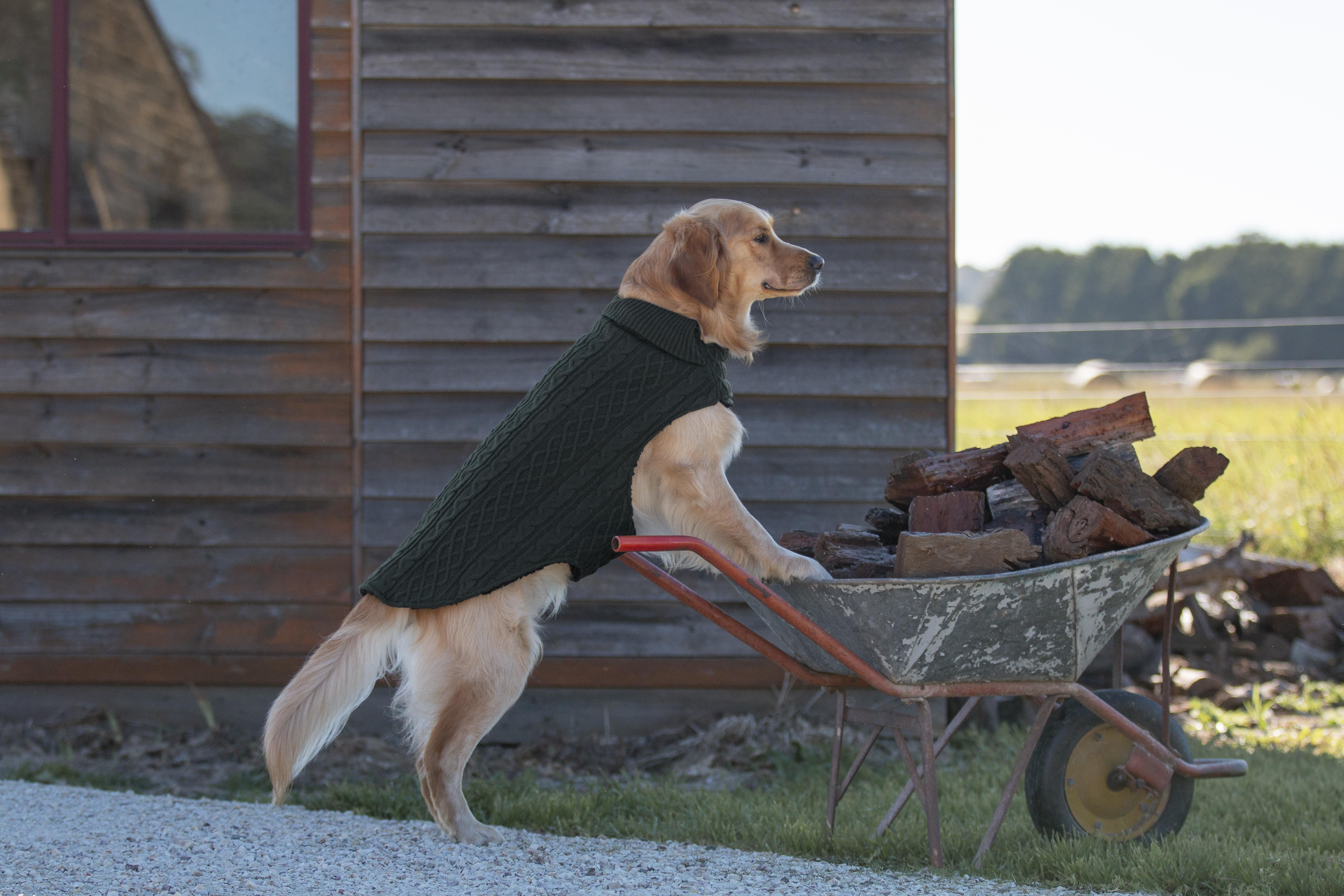 Ruff n Rugged The Woolly Dog Jumper Dark Green - Image 7