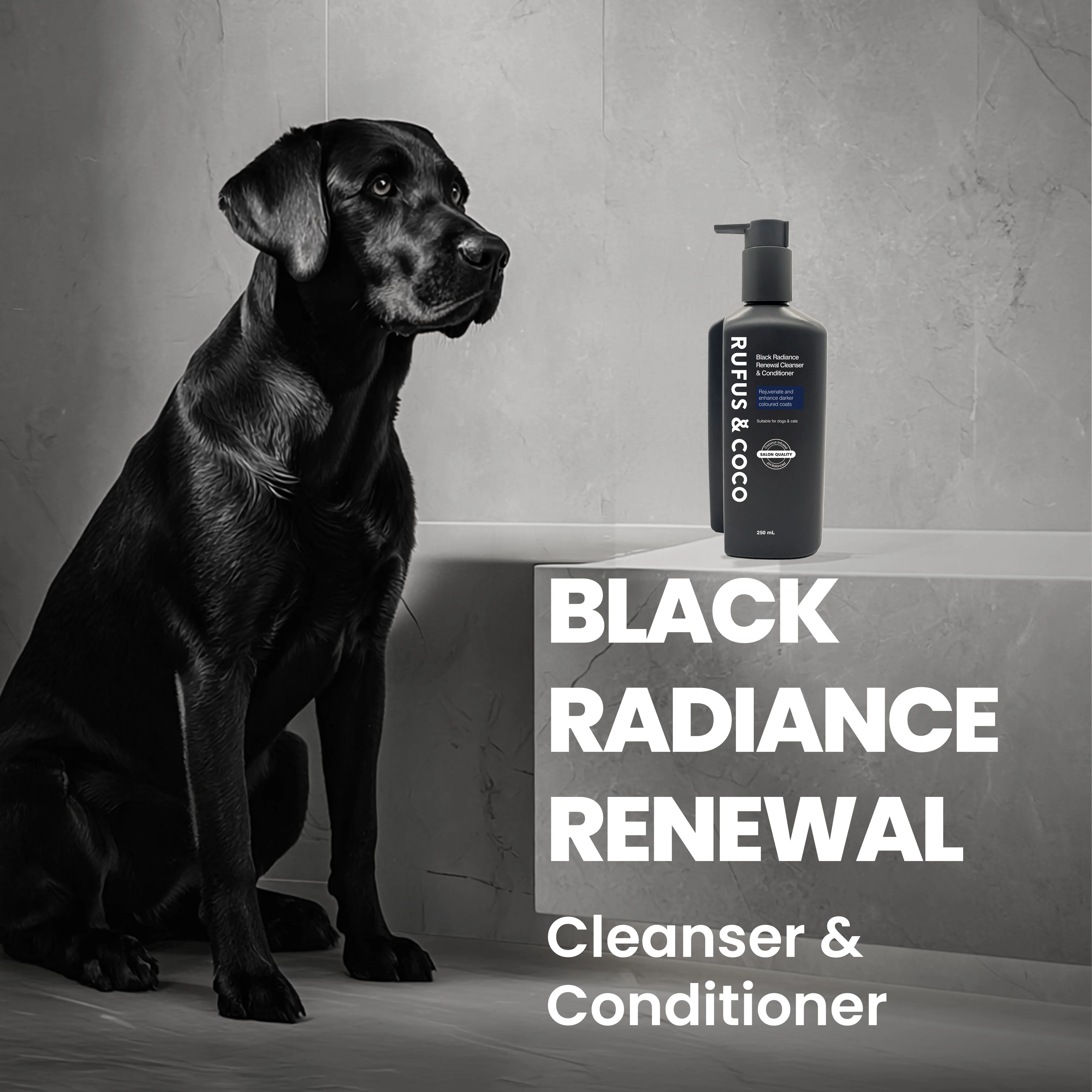 Rufus & Coco Black Radiance Renewal Dark Coloured Coat Pet Cleanser & Conditioner - Image 2
