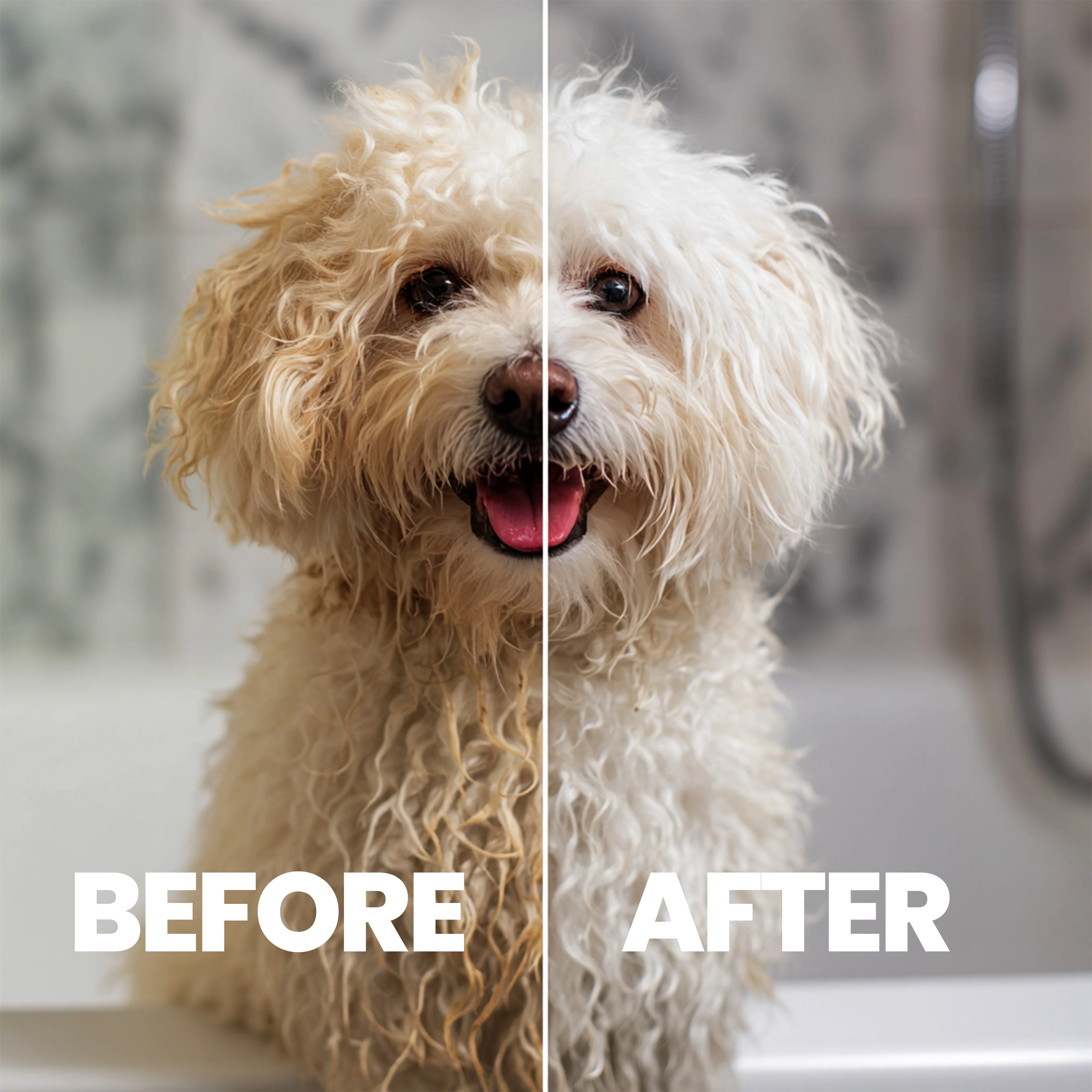 Rufus & Coco Luminous Blonde Light Coloured Coat Pet Cleanser & Conditioner - Image 5