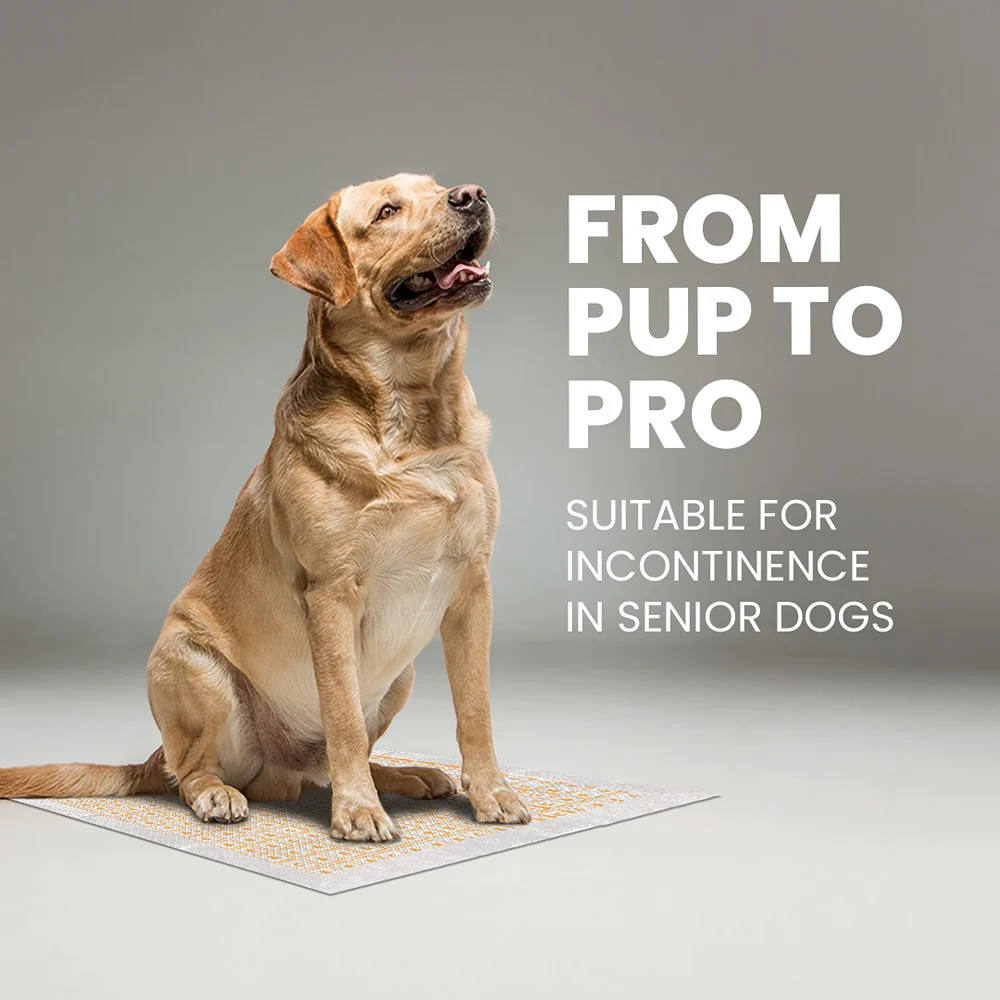 Rufus & Coco Wee Woof Health Check Pee Pads - Image 7