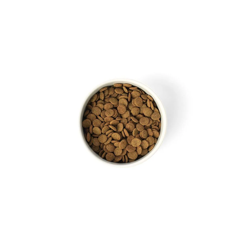 Savourlife Grain Free Adult Std Turkey Lean Dry Dog Food - Image 8