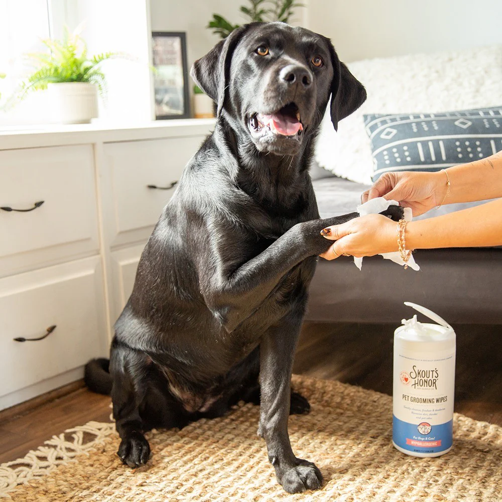 Skouts Honor Pet Grooming Wipes 80ct - Image 8