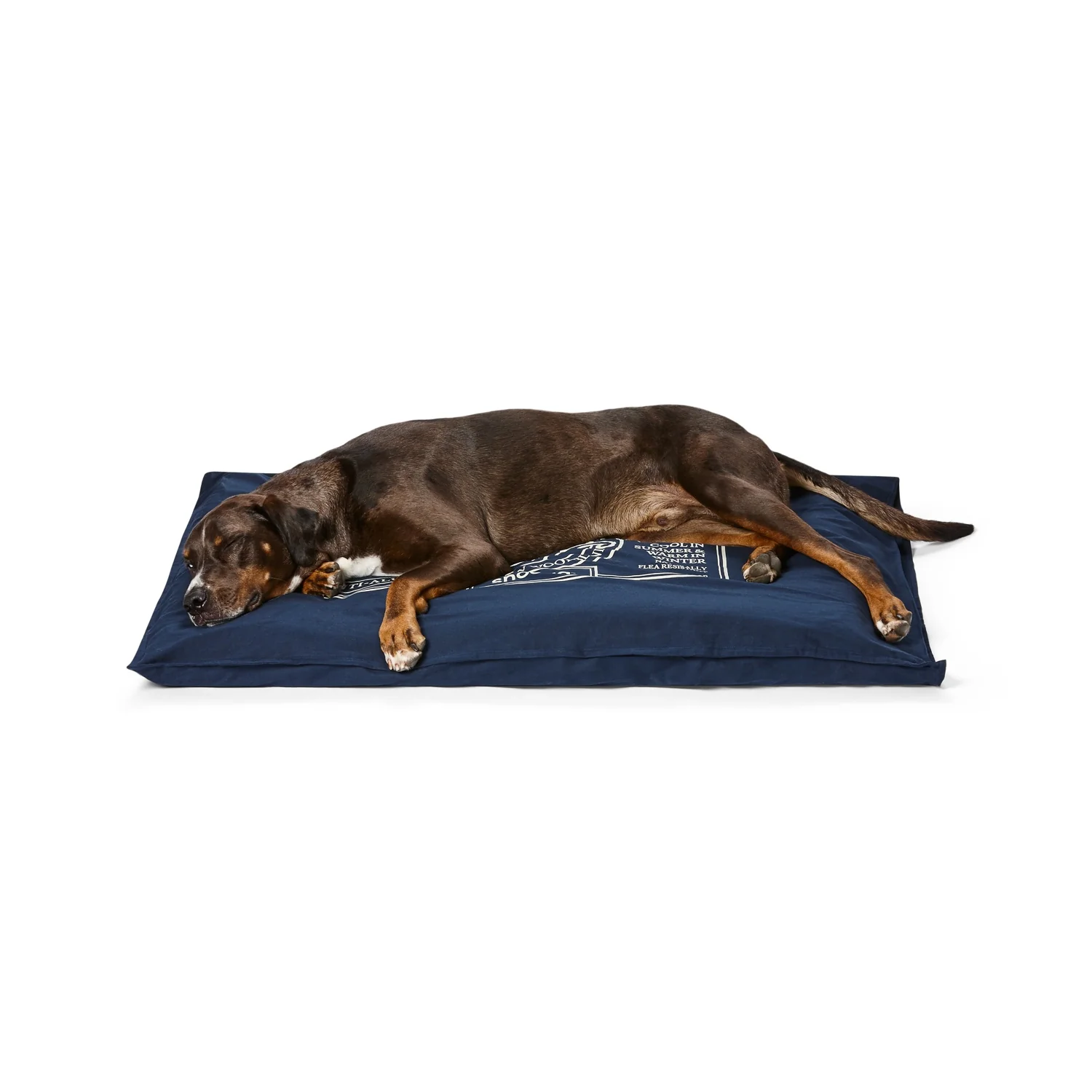 Snooza Organic Pet Futon Mighty Dog Bed - Image 3