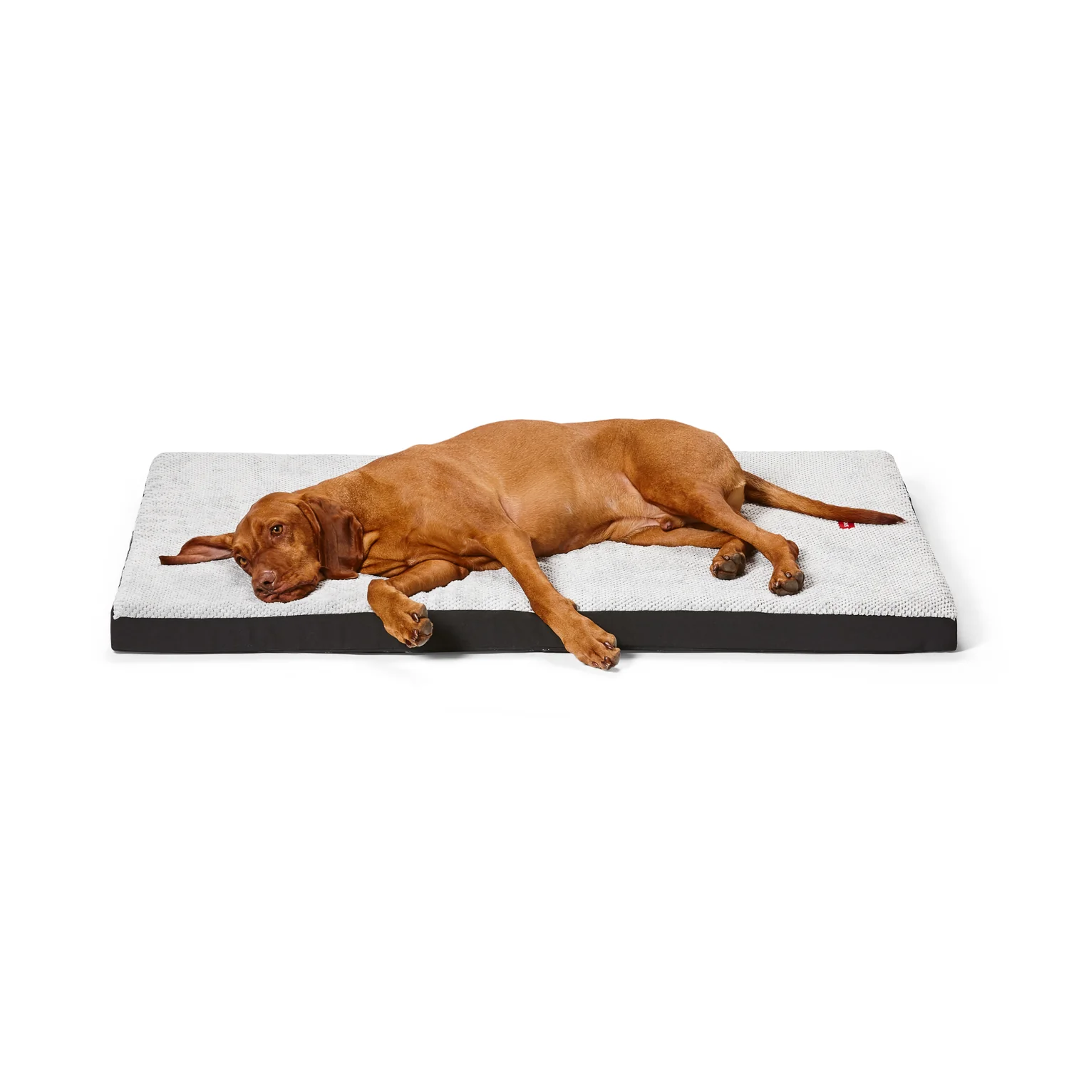 Snooza Orthopaedic Dog Bed Plush Grey - Image 7