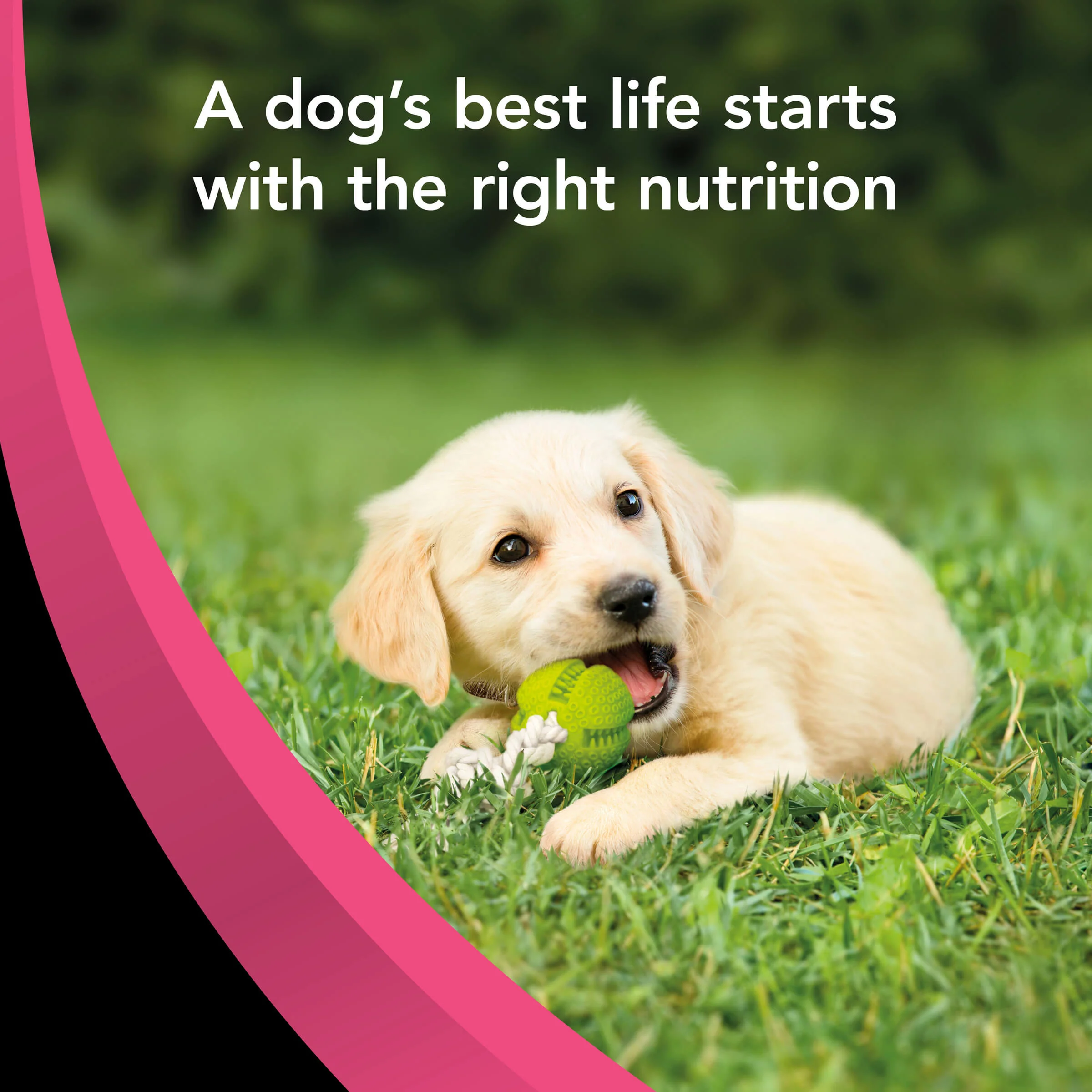 Supercoat Puppy Chicken Dry Dog Food 18kg - Image 12