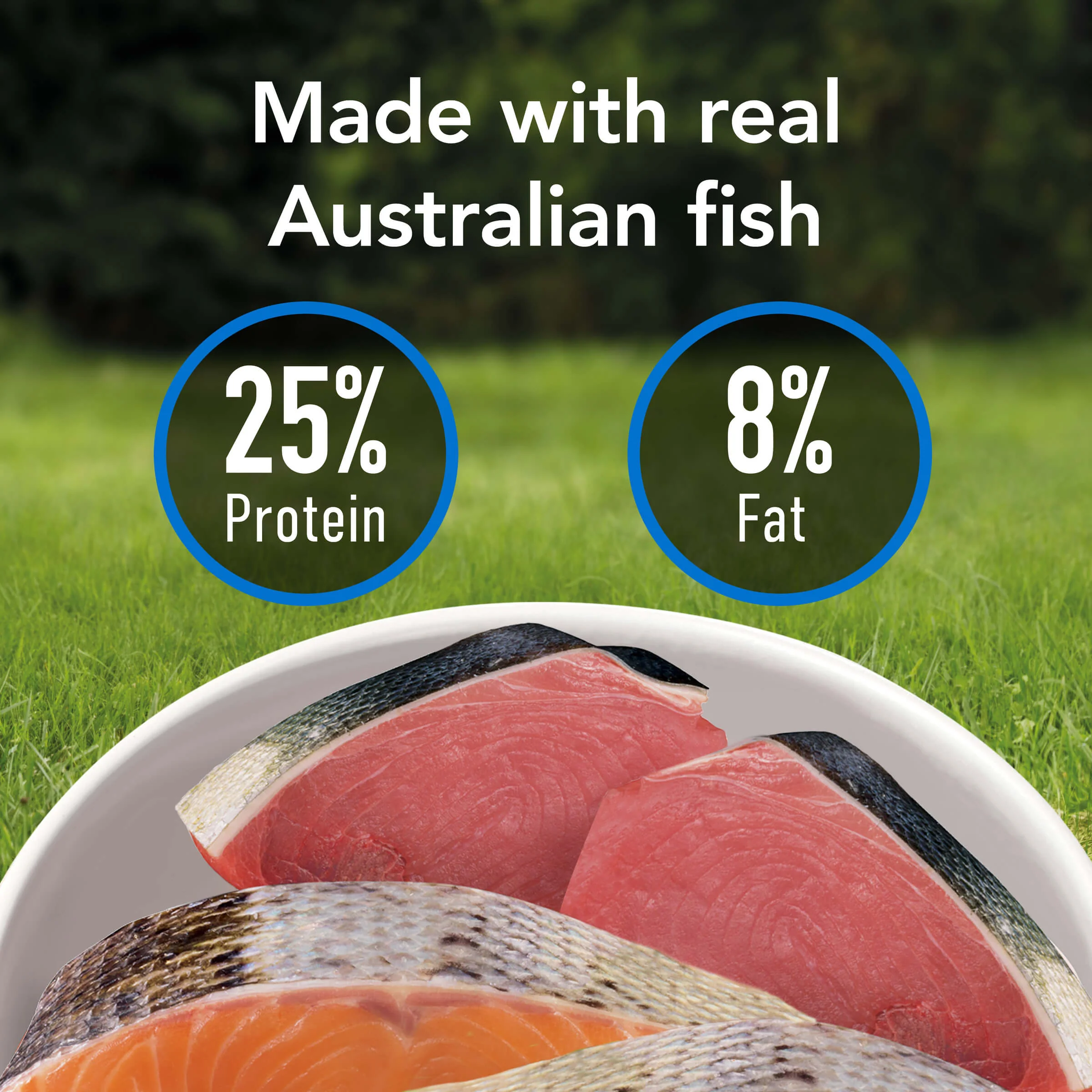 Supercoat Senior Fish Dry Dog Food 18kg - Image 25
