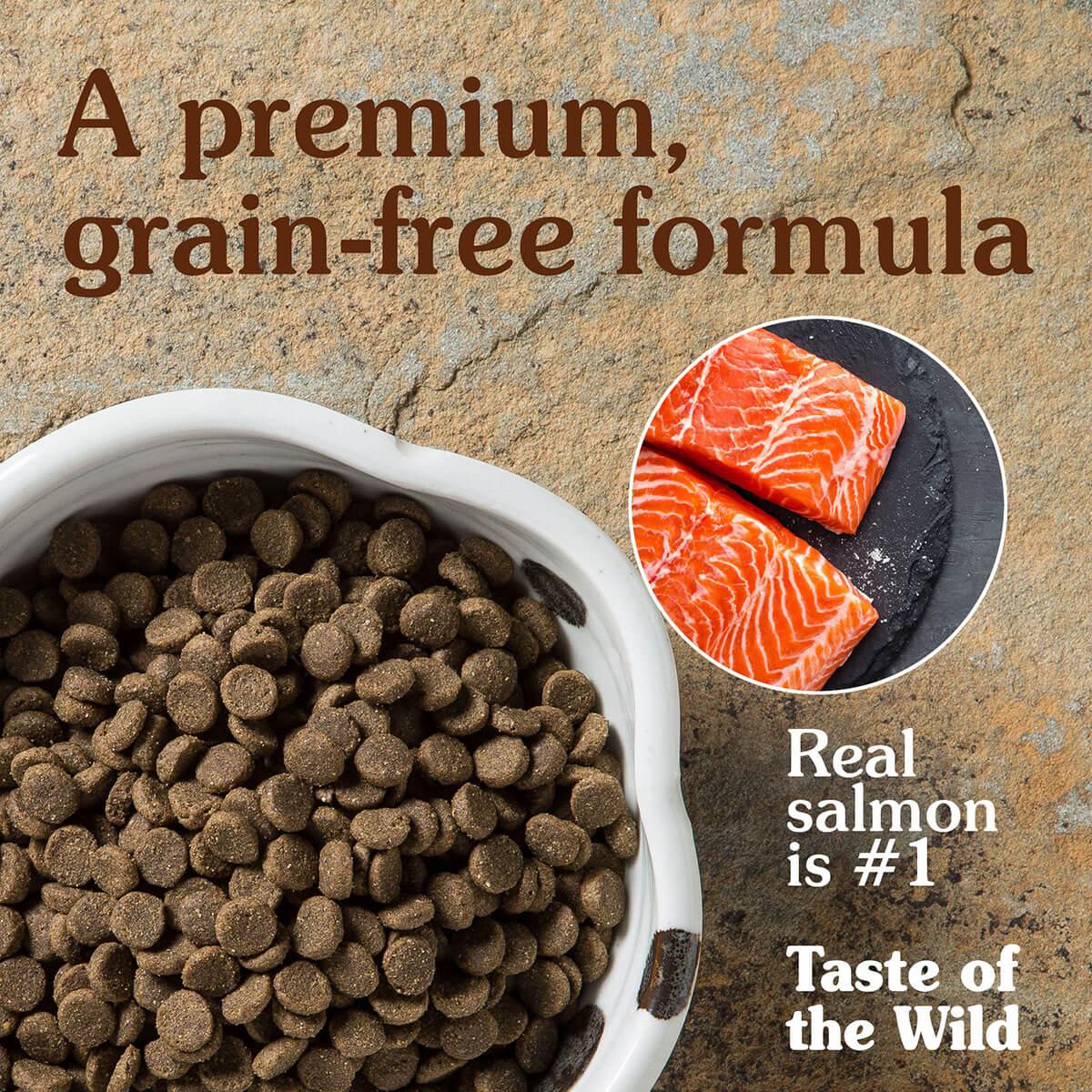 Taste of the Wild Pacific Stream Smoked Salmon Dry Dog Food - Image 19