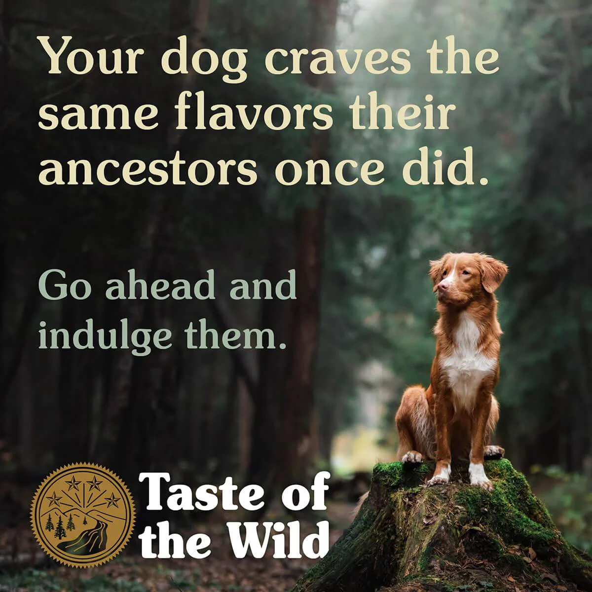 Taste of the Wild Pacific Stream Smoked Salmon Puppy Dry Dog Food - Image 9