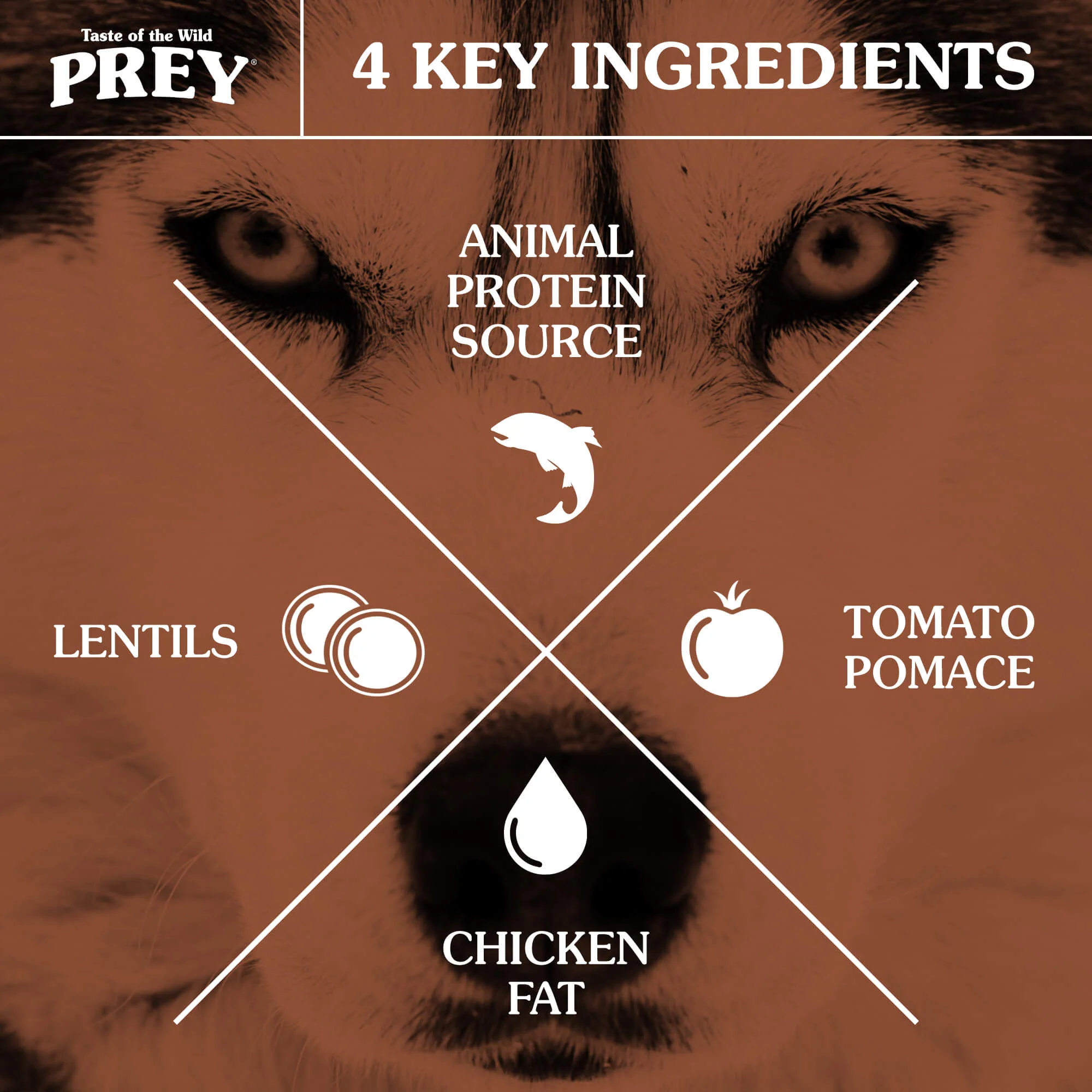 Taste of the Wild Prey Trout Dry Dog Food - Image 2