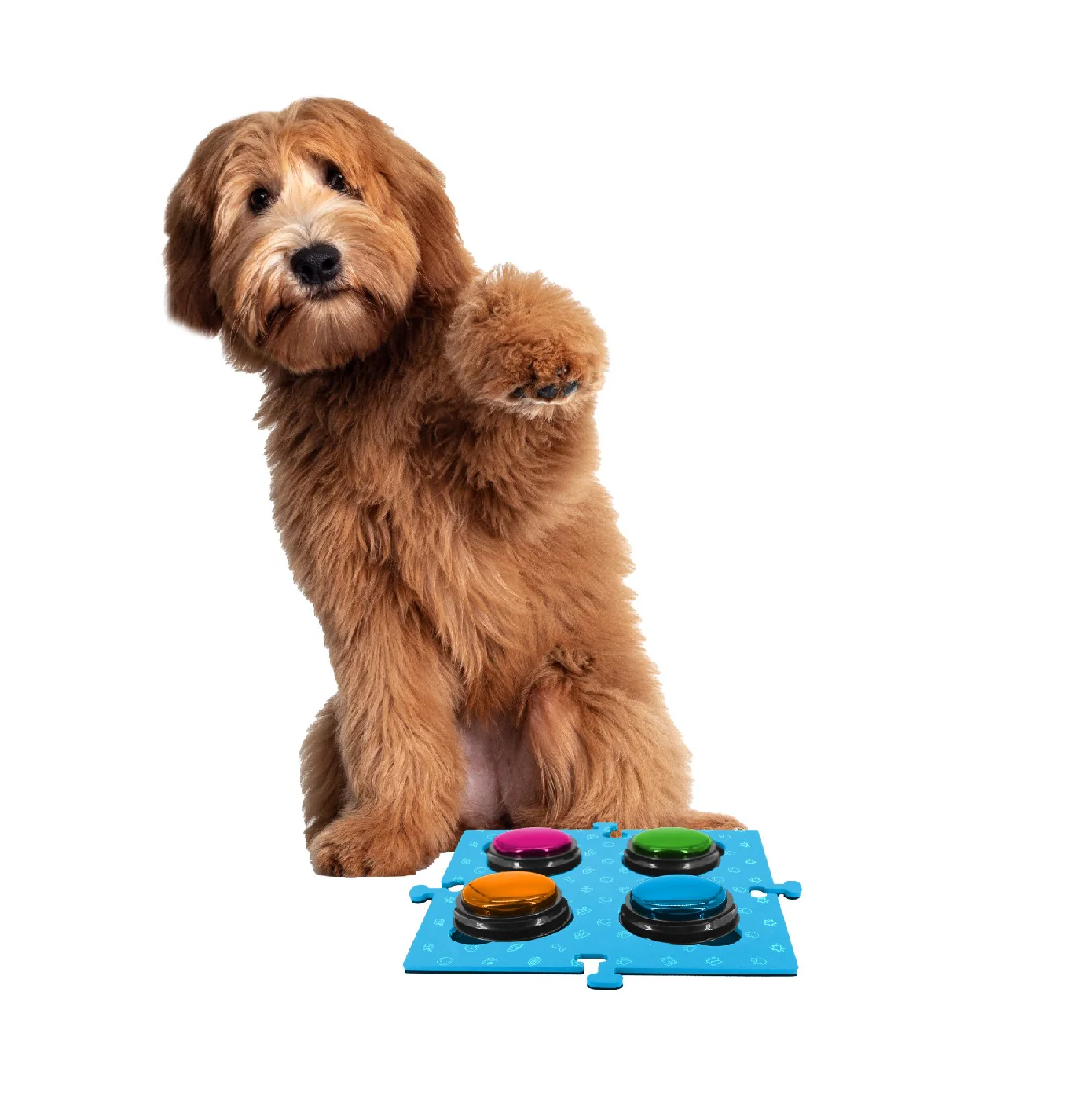 Tech 4 Pets Talk & Communicate Button Mat 2 Pack - Image 20
