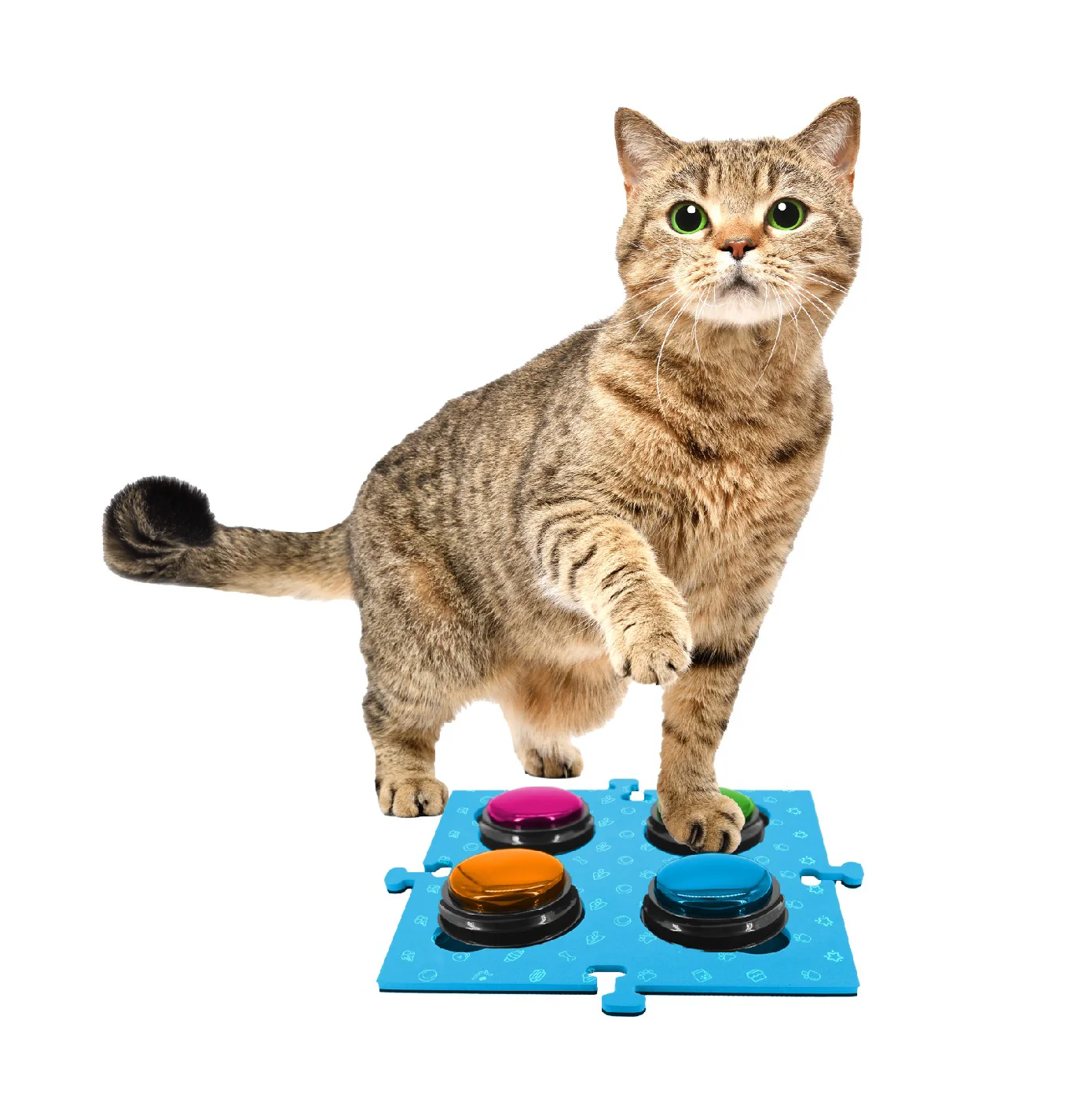 Tech 4 Pets Talk & Communicate Button Mat 2 Pack - Image 25