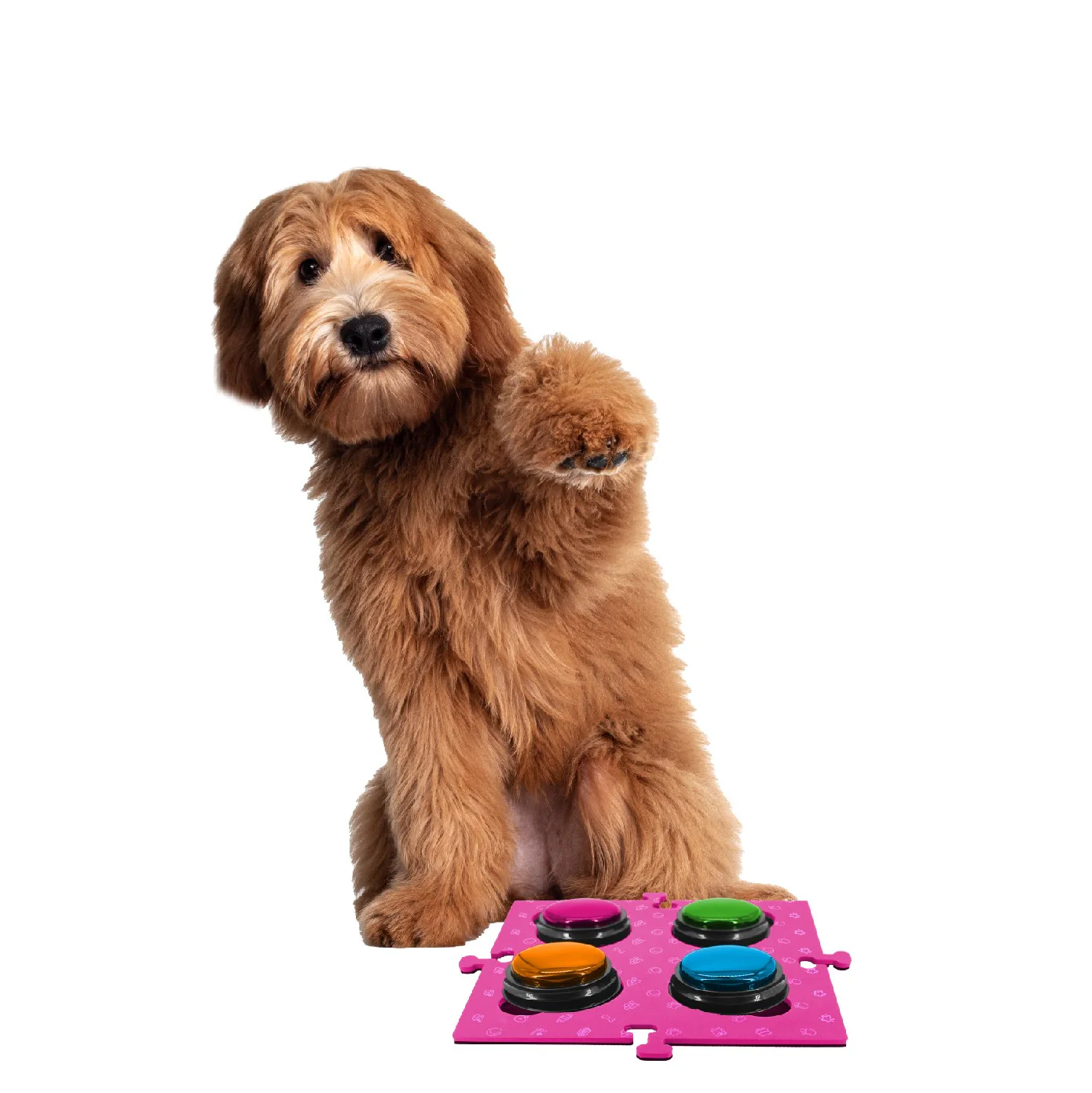 Tech 4 Pets Talk & Communicate Button Mat 2 Pack - Image 27