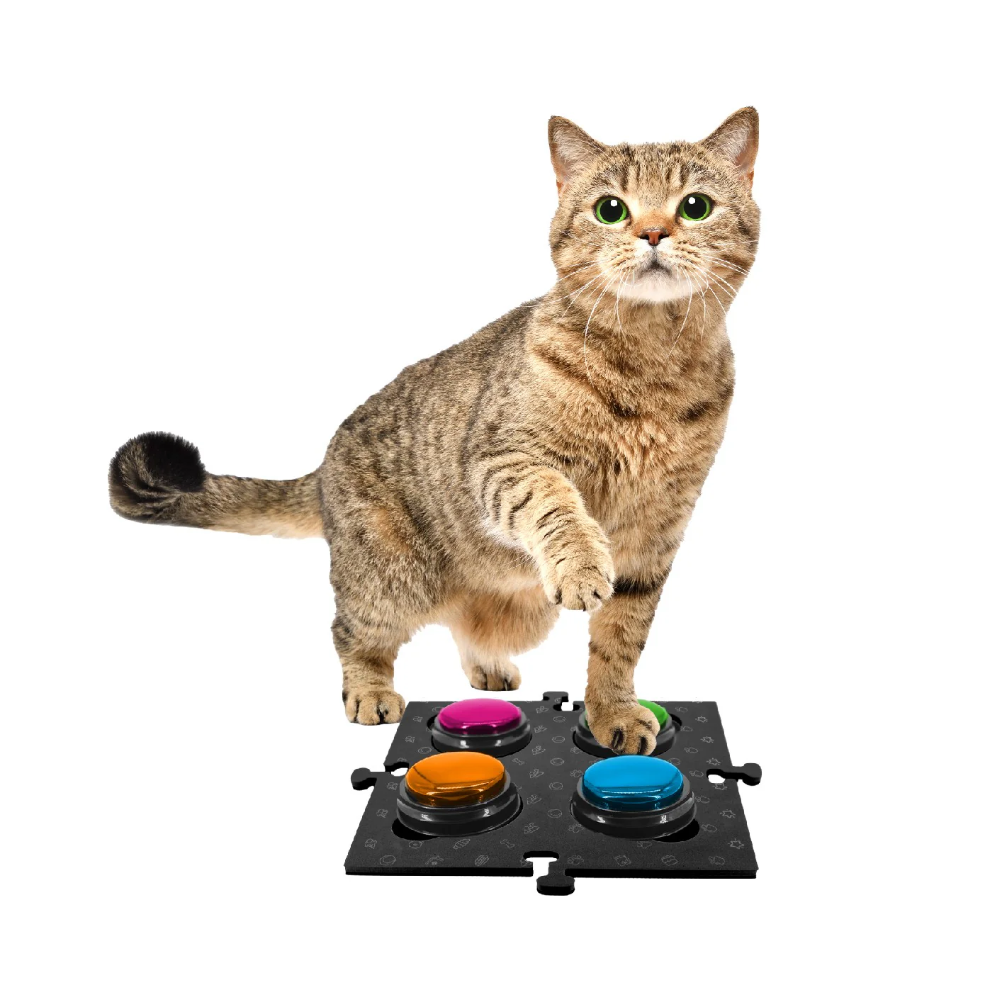 Tech 4 Pets Talk & Communicate Button Mat 2 Pack - Image 31
