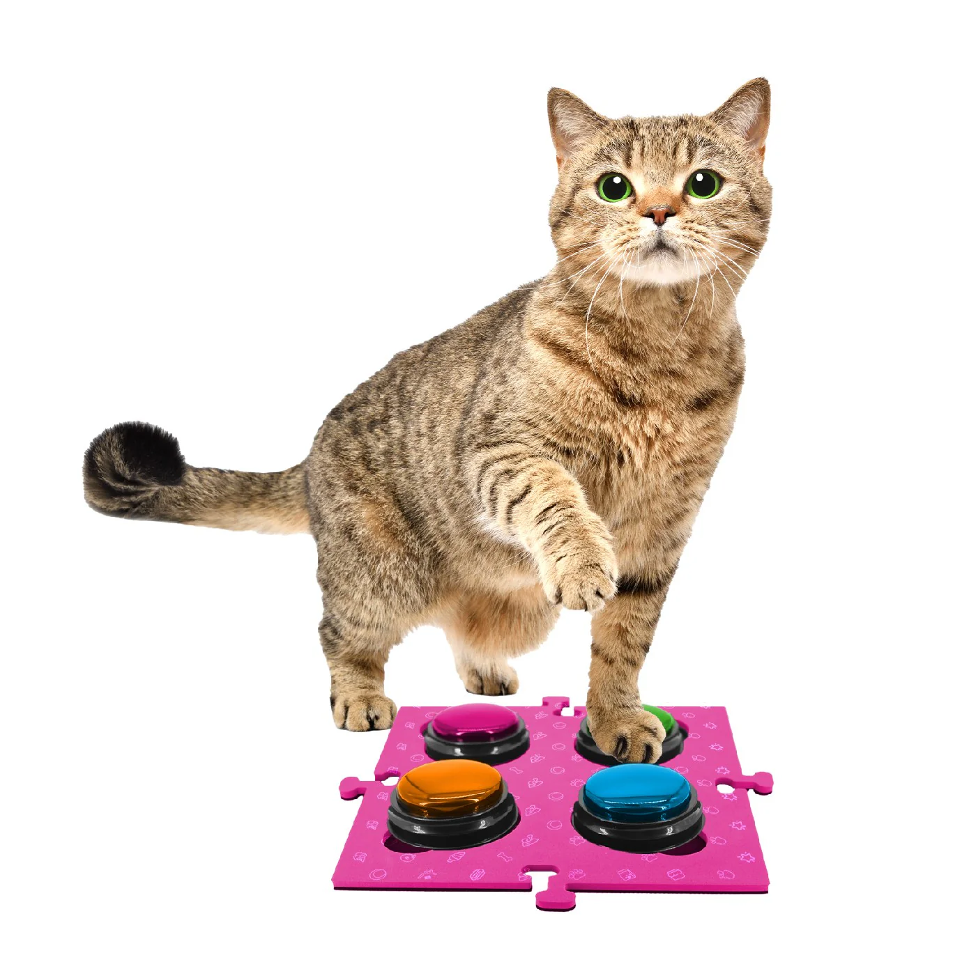 Tech 4 Pets Talk & Communicate Button Mat 2 Pack - Image 32