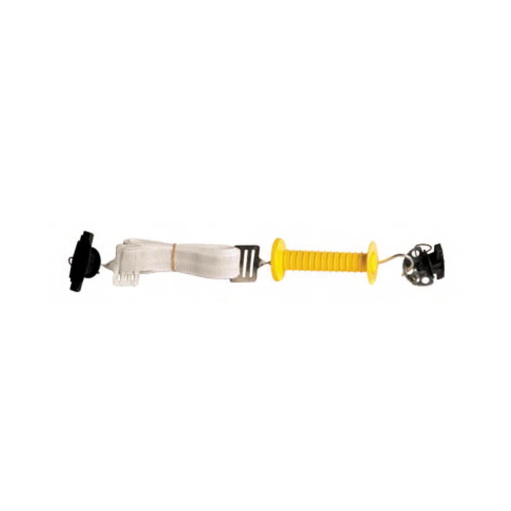Thunderbird Tape Gate - Image 2
