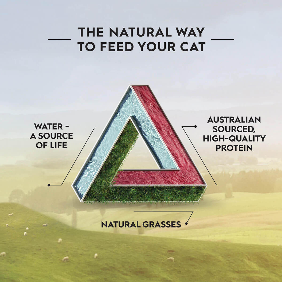 Trilogy Adult Cat Kangaroo Dry Cat Food 1.8kg - Image 14