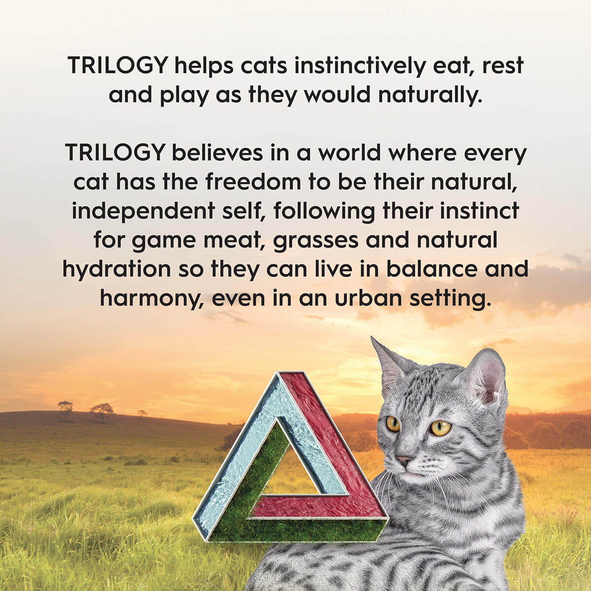 Trilogy Adult Cat Kangaroo Dry Cat Food 1.8kg - Image 4